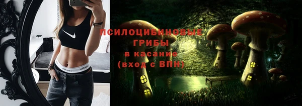 стаф Покров