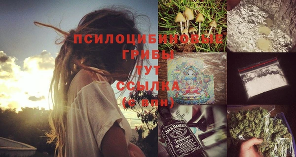 меф Пересвет