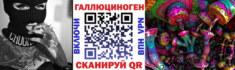 как найти   Тосно  Псилоцибиновые грибы прущие грибы 
