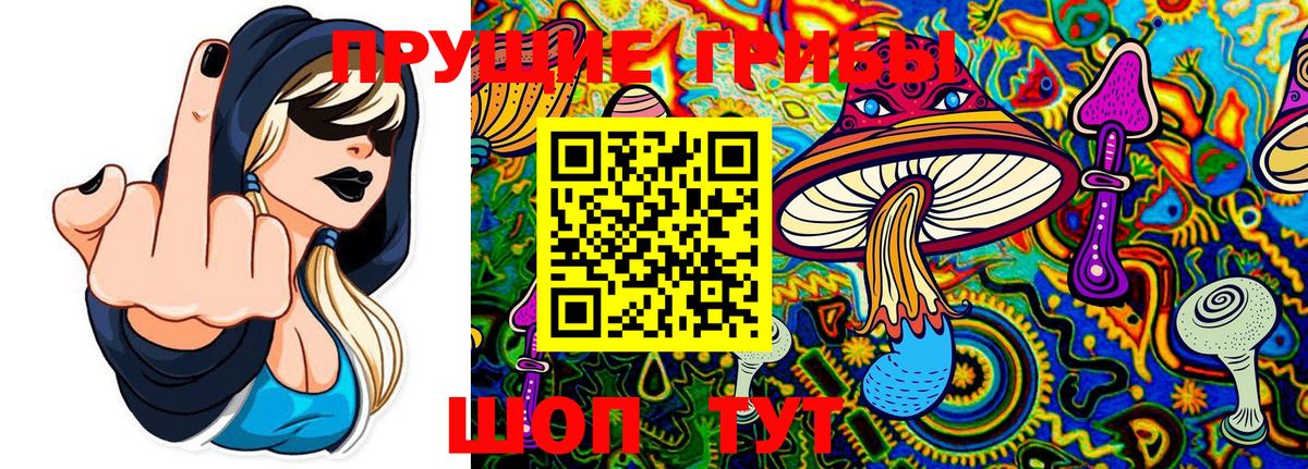 Галлюциногенные грибы MAGIC MUSHROOMS Тосно