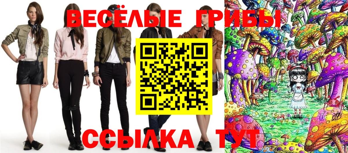 Тосно  Псилоцибиновые грибы Psilocybine cubensis  Вход с VPN 