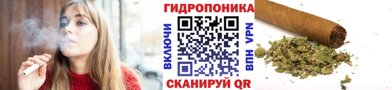 Бошки Шишки индика  Тосно 